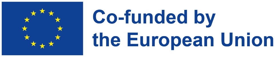 Co-funded by the European Union